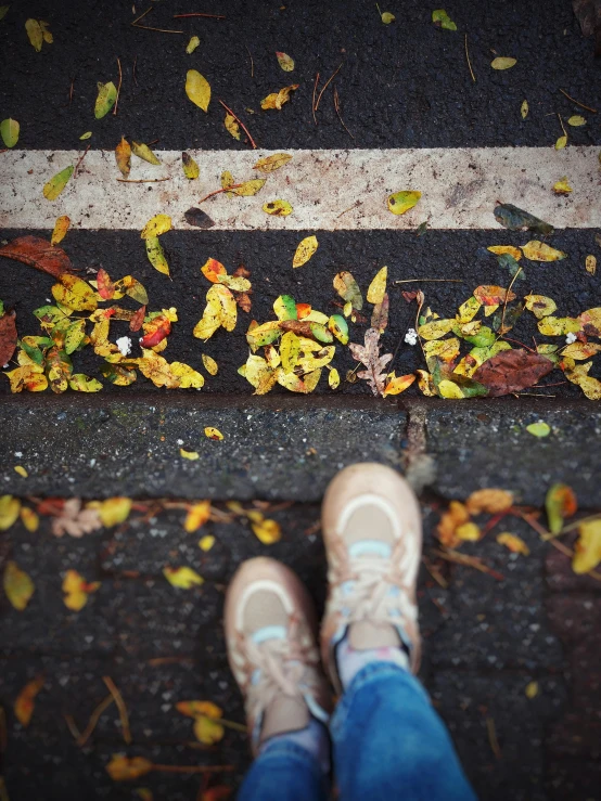 a person with their legs on a road while there are autumn leaves all over the ground
