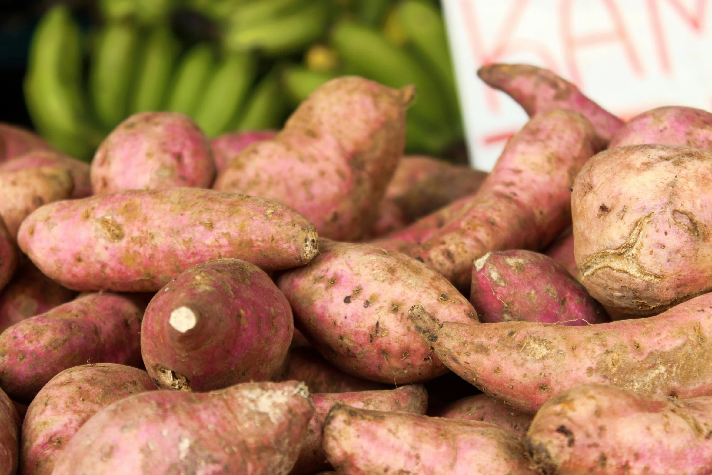 several dug potatoes sitting in a pile together