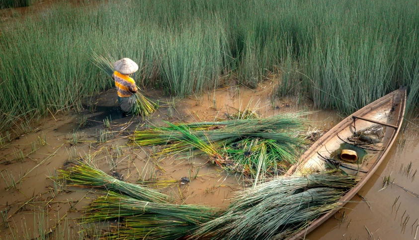 a man on top of a wooden boat with plants growing in it