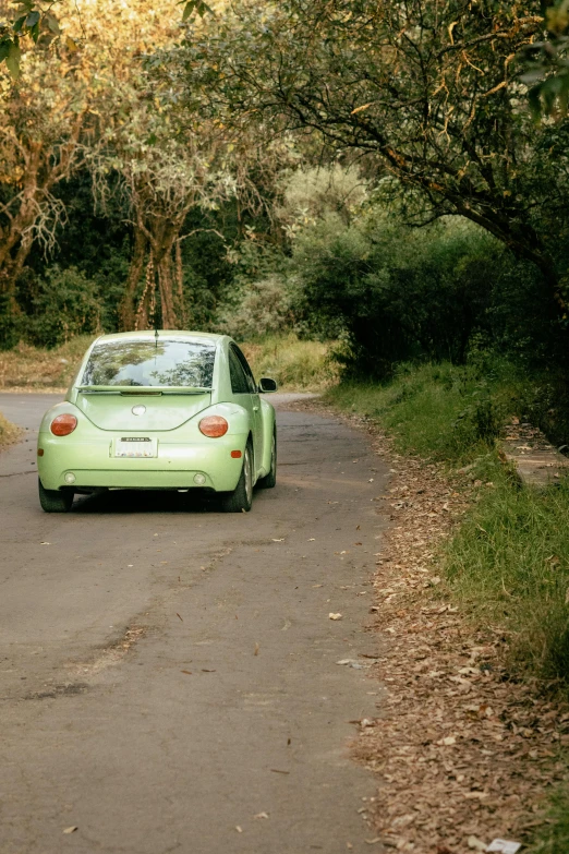 a green car drives down the street, past trees