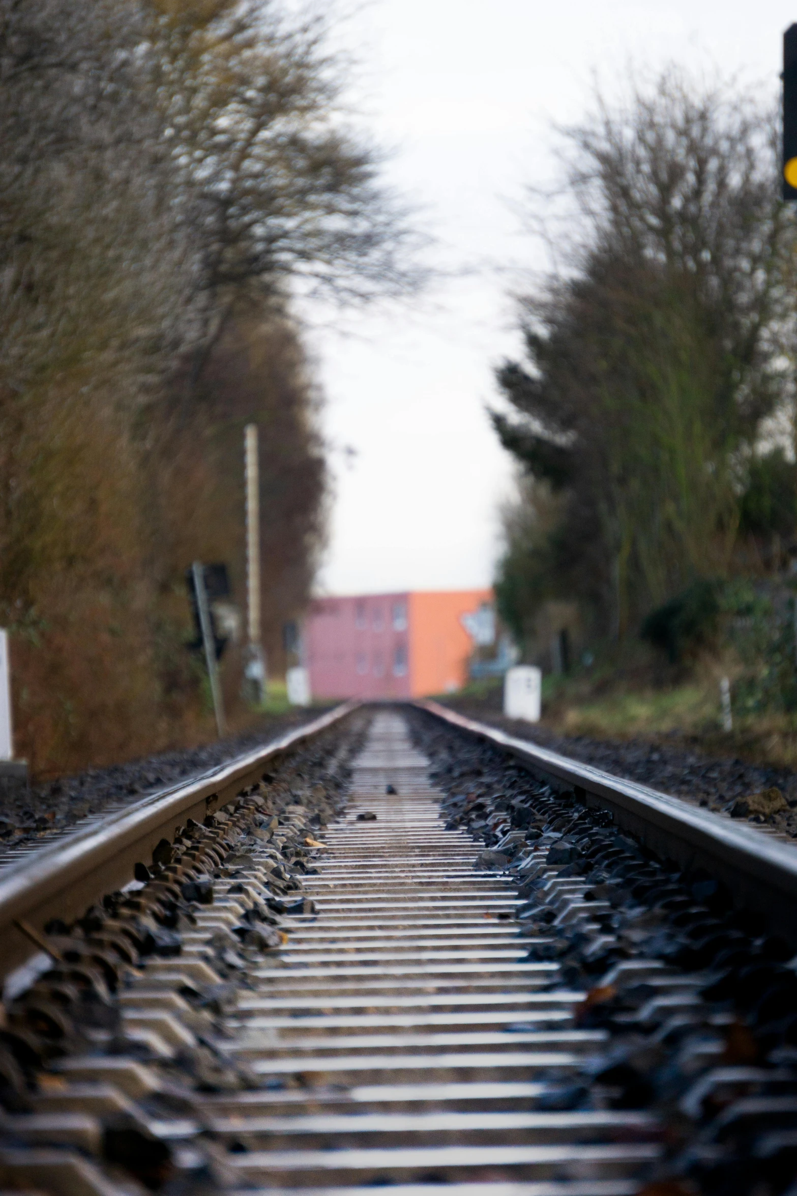 the train tracks cross into an intersection