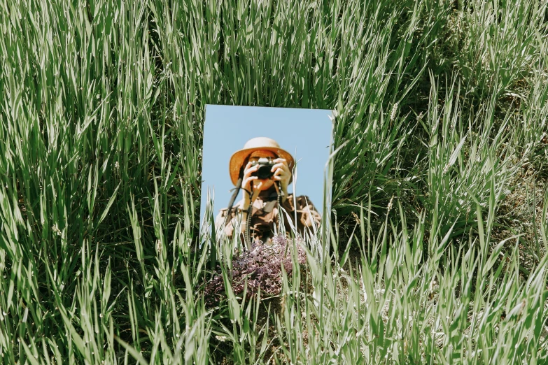 a mirror is shown peeking out of a field of grass