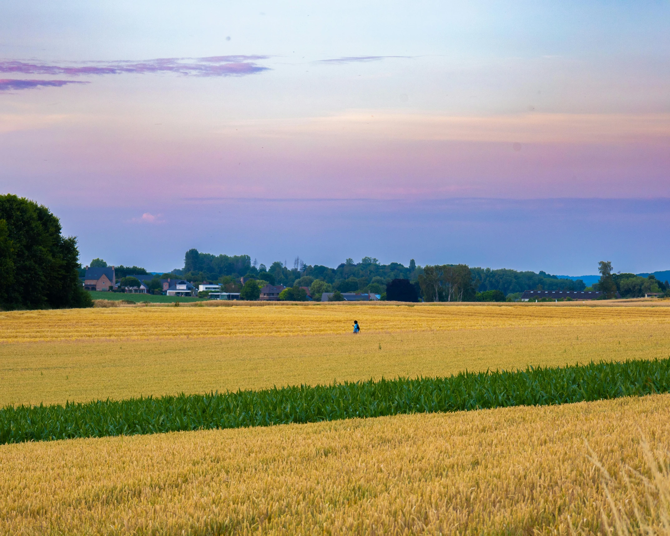 an image of a person walking across a field