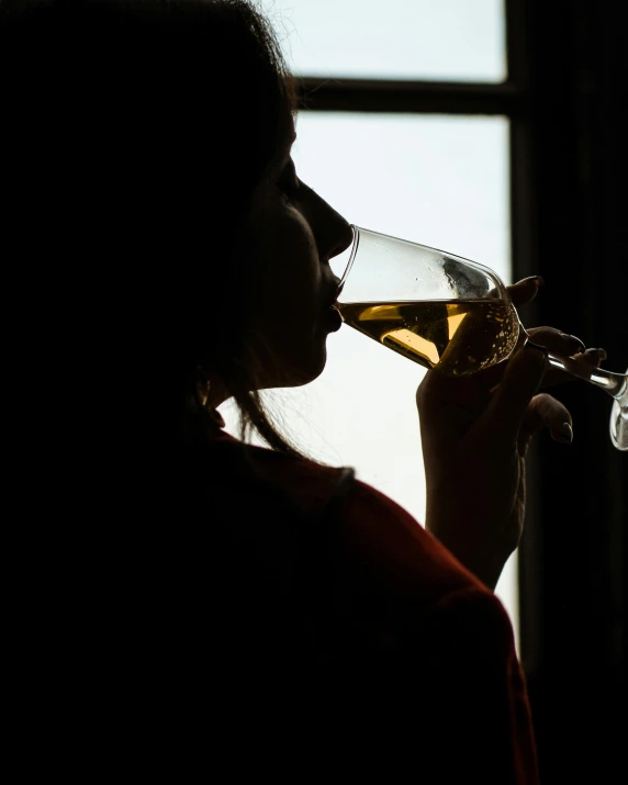 a woman is drinking wine in a silhouette