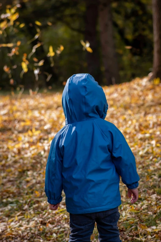 small child in blue jacket with leaves all around him