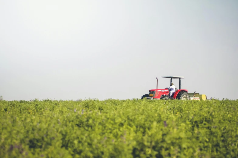 a farmer is driving his tractor in a big field