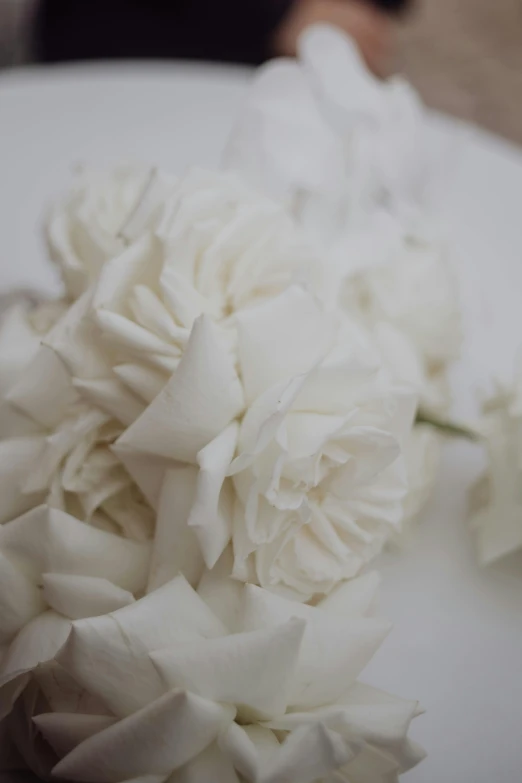 white flowers that are sitting on a table