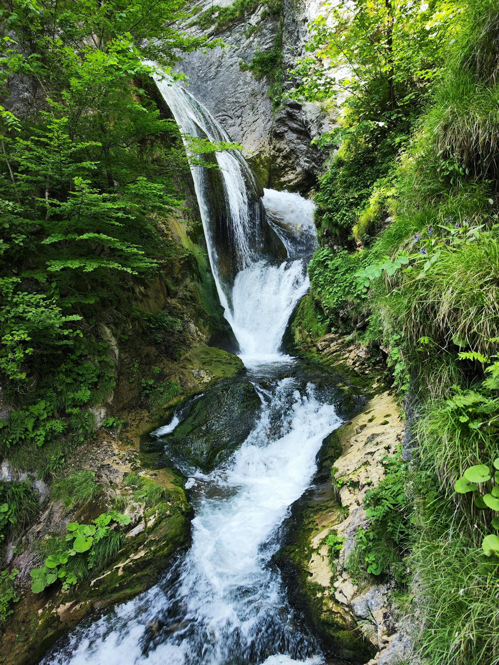 a very pretty waterfall in the middle of a forest