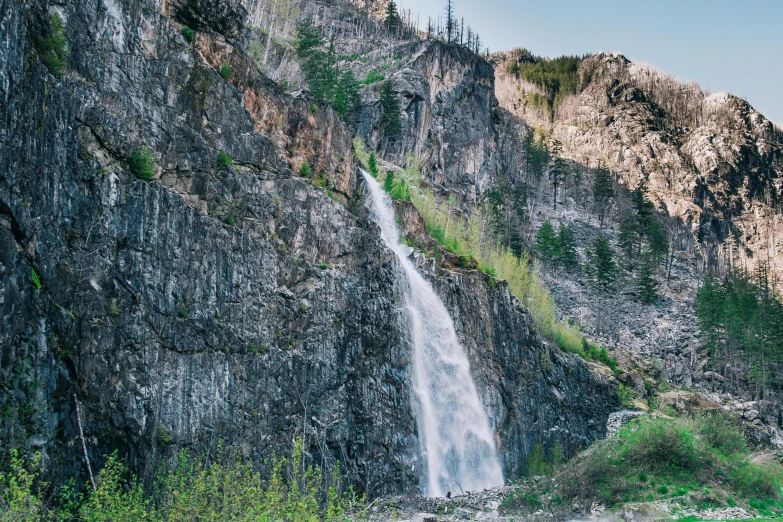 waterfall on a cliff side, surrounded by trees