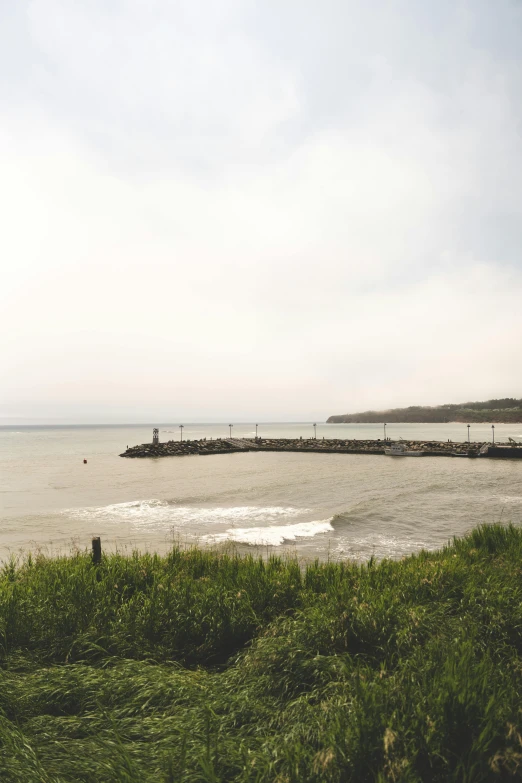 a jetty and grass beach with a body of water