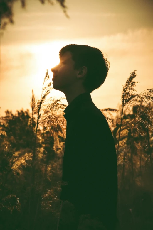 a young man looking at the sun through the trees