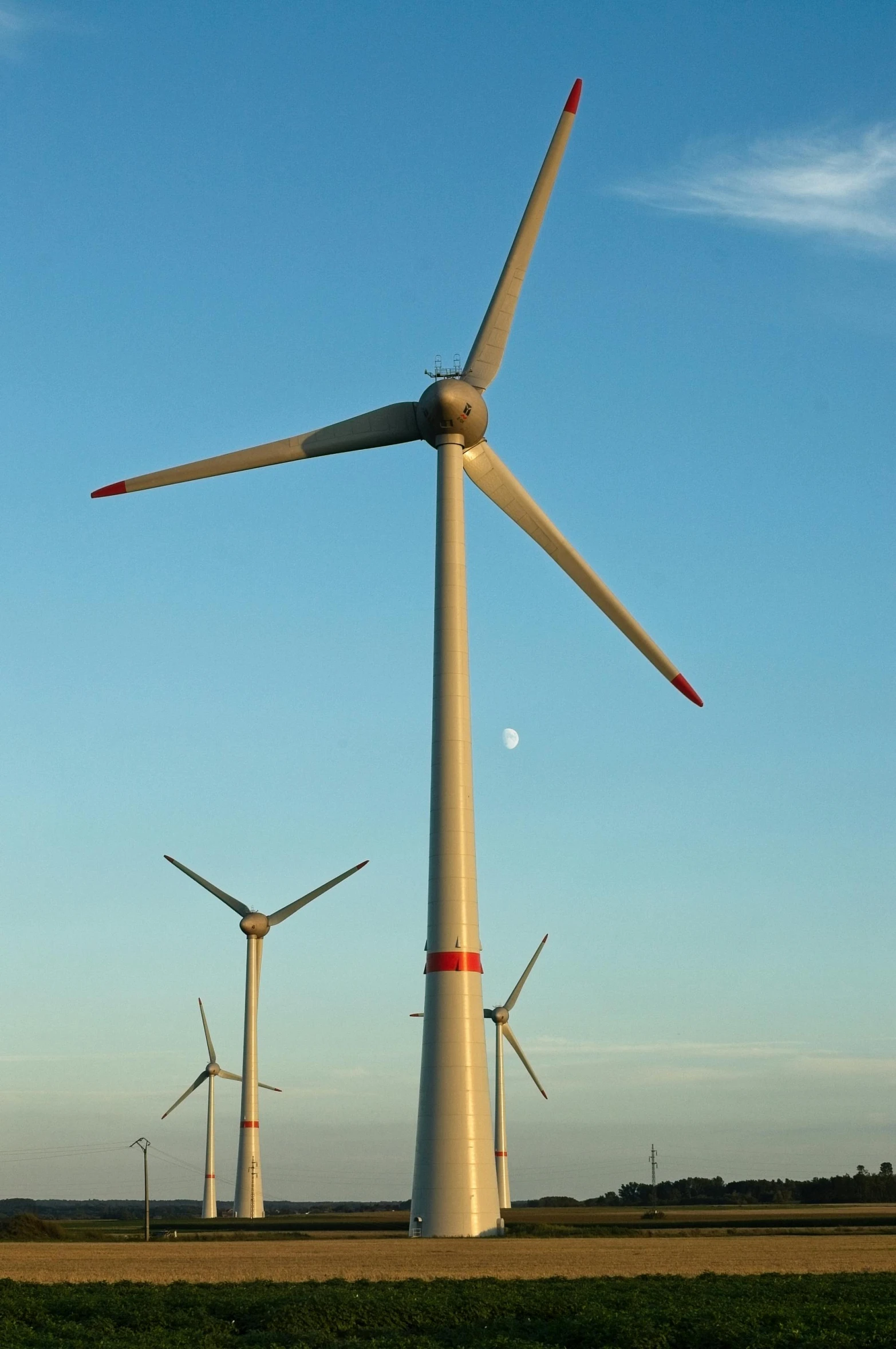 three wind turbine towers stand in the background against a blue sky