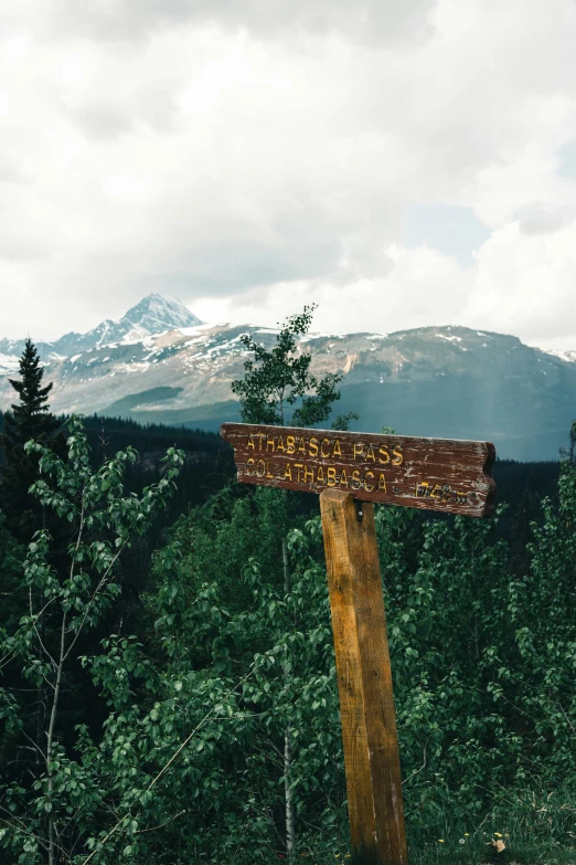 a wooden sign in front of a wooded area