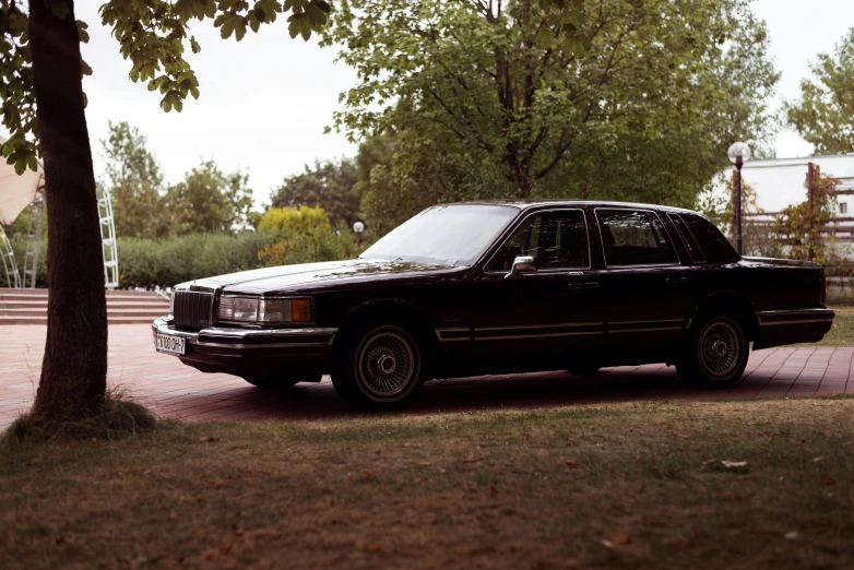 a black car parked in a driveway next to a tree