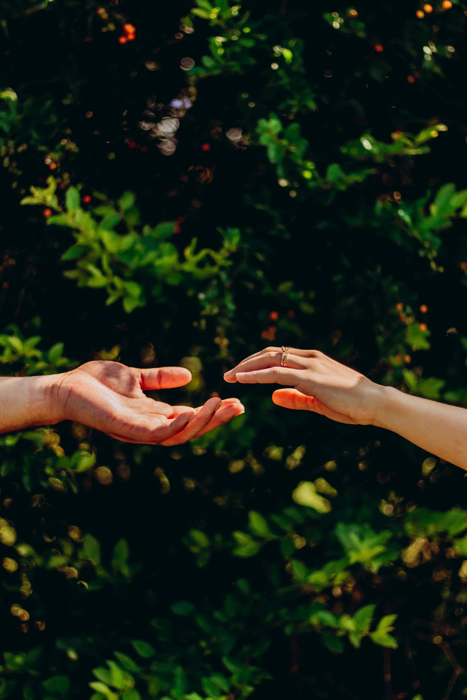 two persons reaching their hand out towards each other