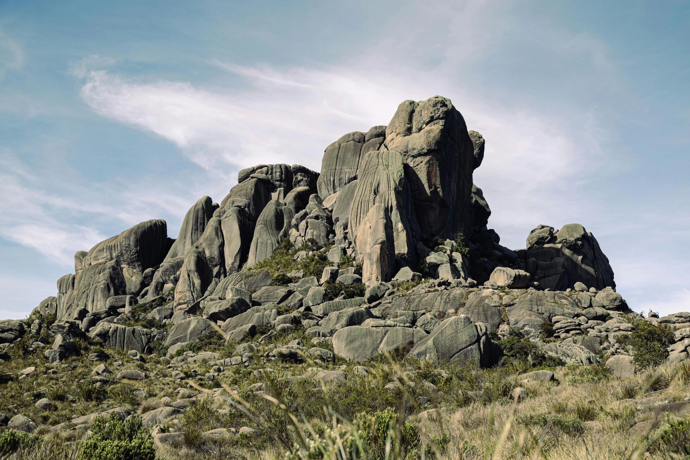 some rocks and green plants and a hill