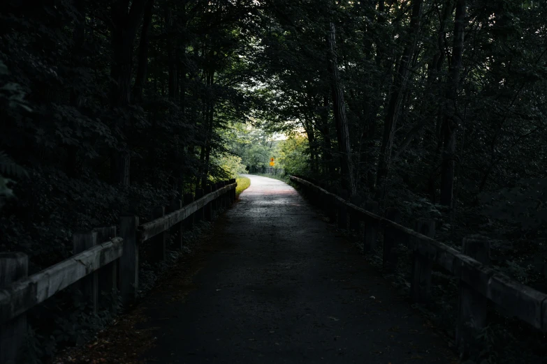 a road through the trees on a dark day