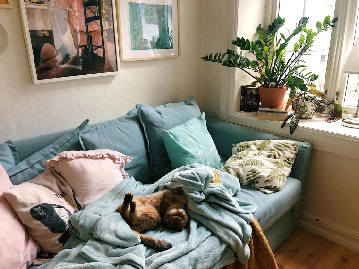 a couch with a blanket on top of it near a window