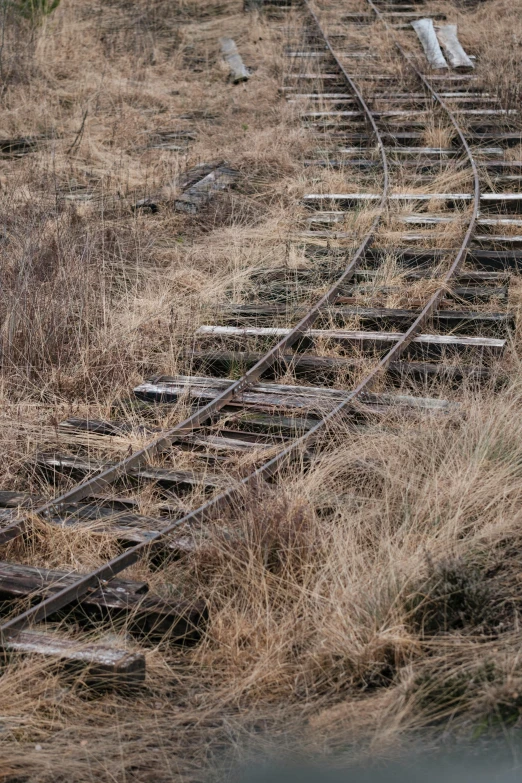 an old set of railroad tracks in dry grass