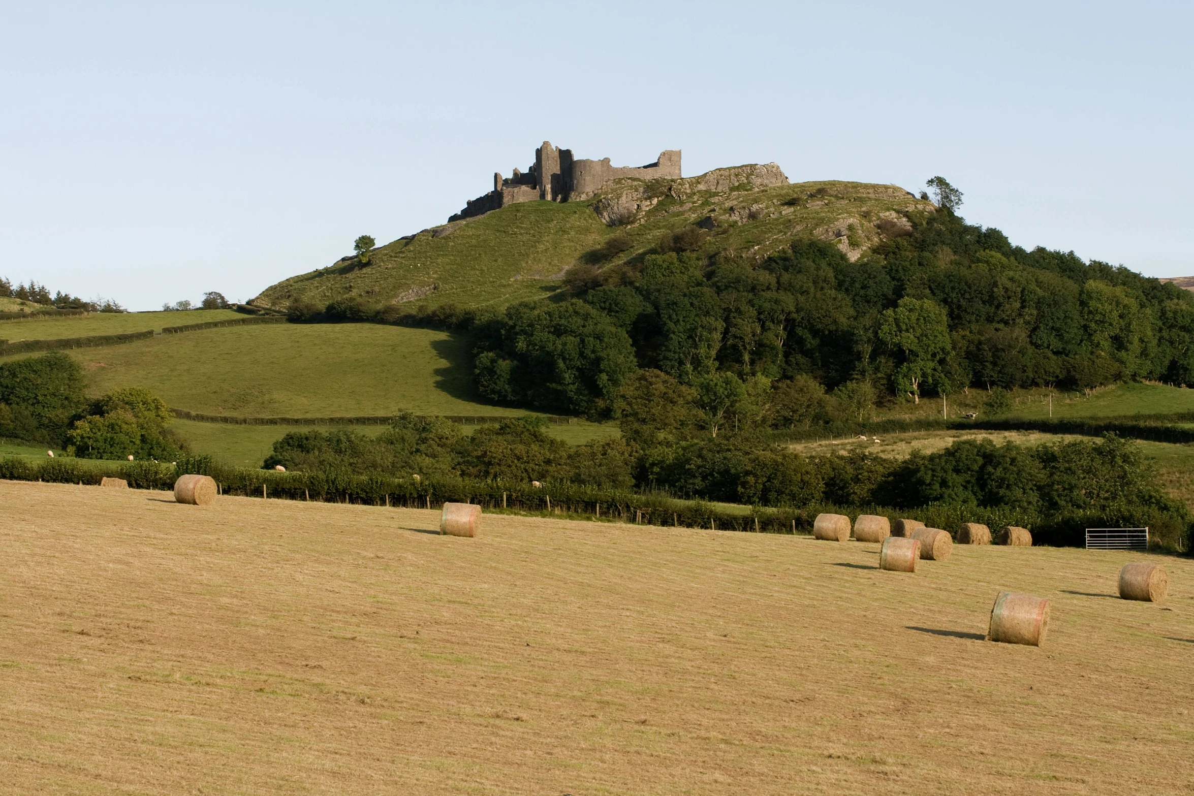 some hay balls in front of some trees and a hill