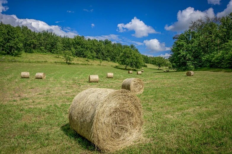 a big rock sitting in a large green field