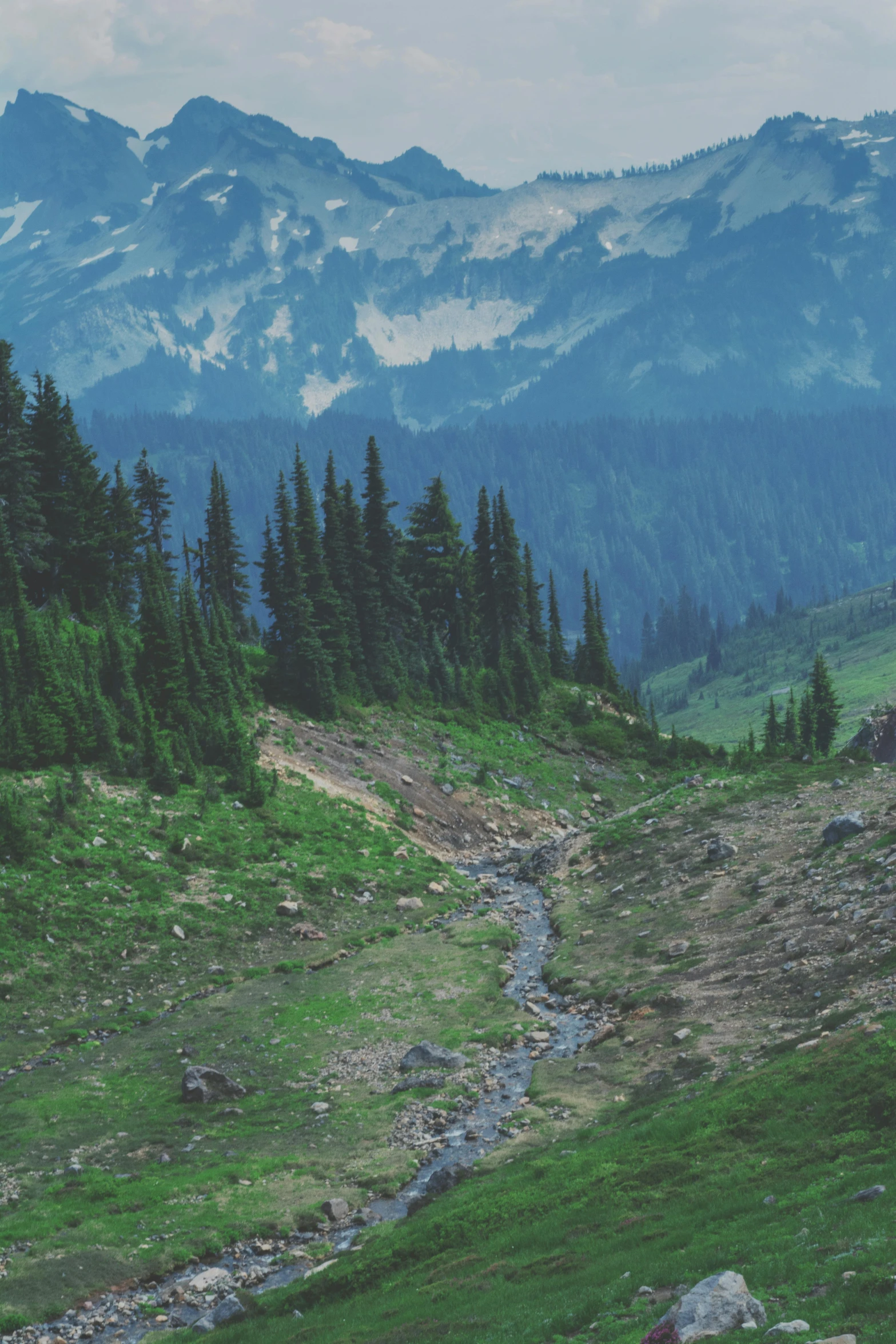 a field that has a small stream in it