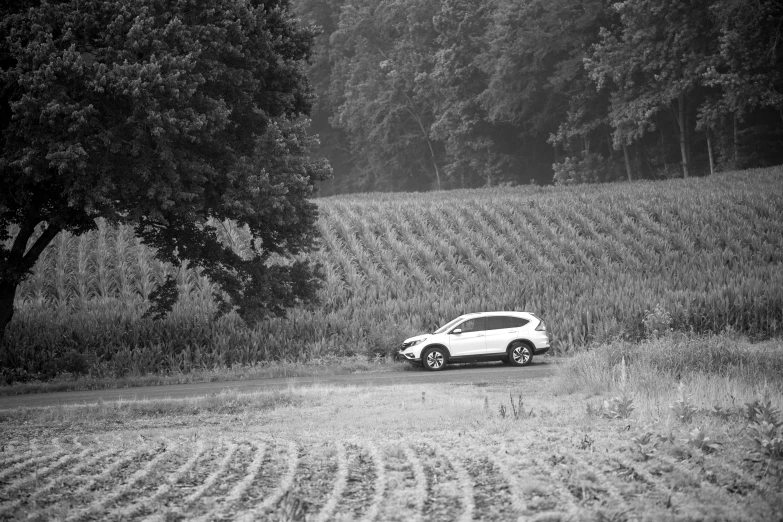 black and white pograph of a car driving through a field