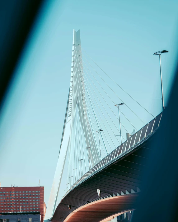 the bridge has many cables running over it