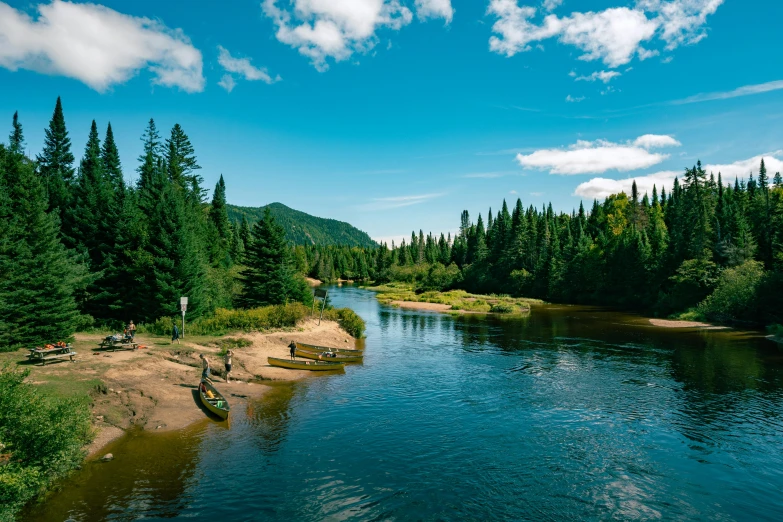 a river near some trees in the daytime