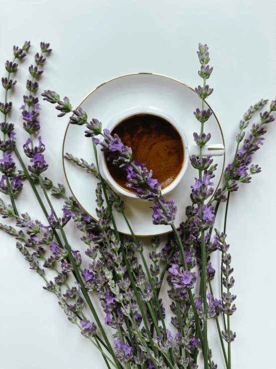 a cup of  chocolate, with fresh lavender blossoms on a saucer