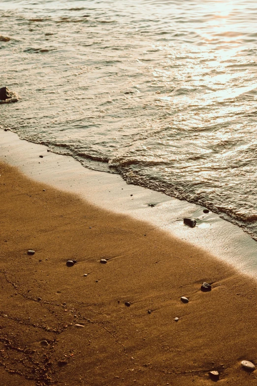 a seagull is standing in the sand at a beach