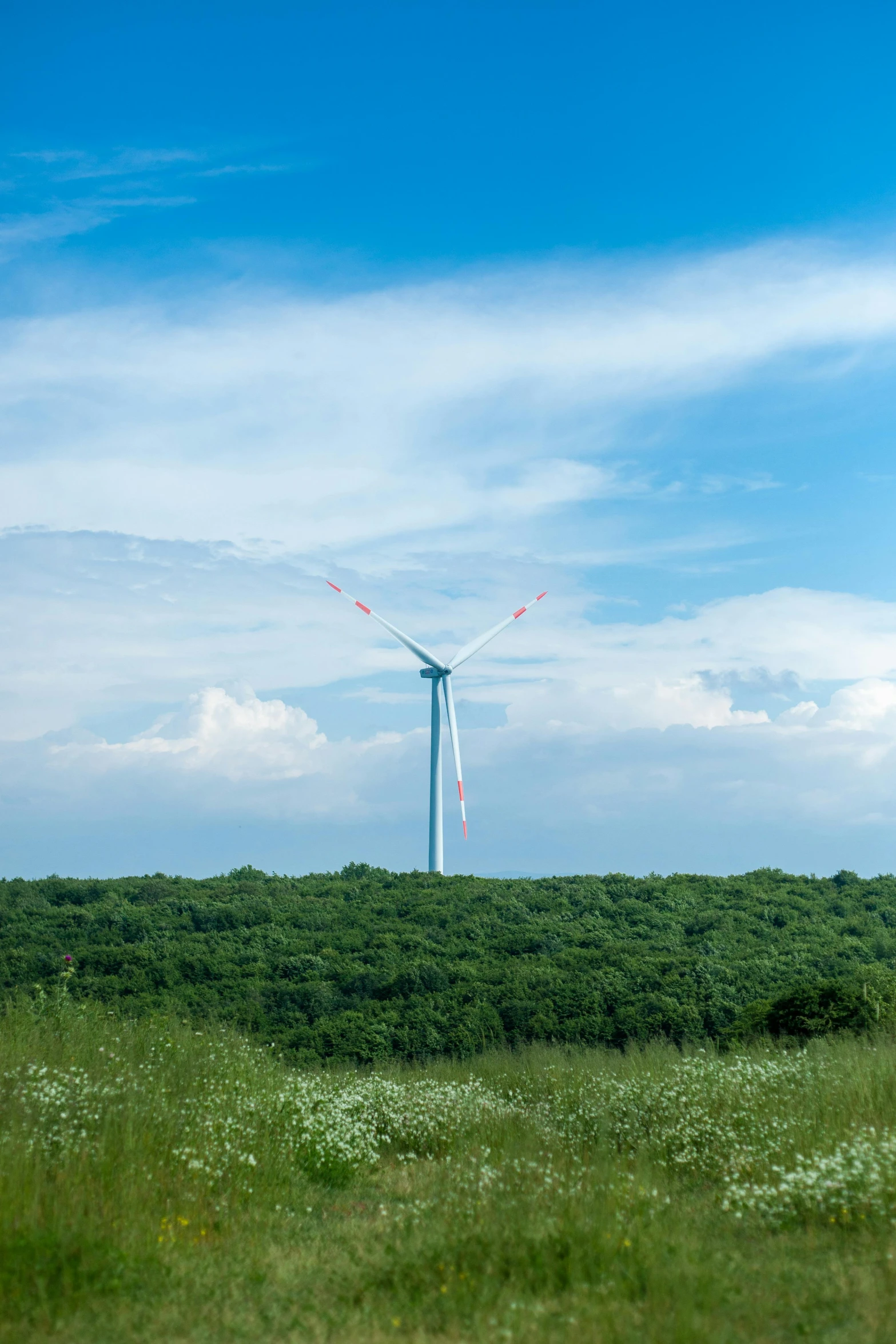 the wind farm is moving along on the field