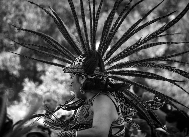 a native american indian dancer with her hair in feather