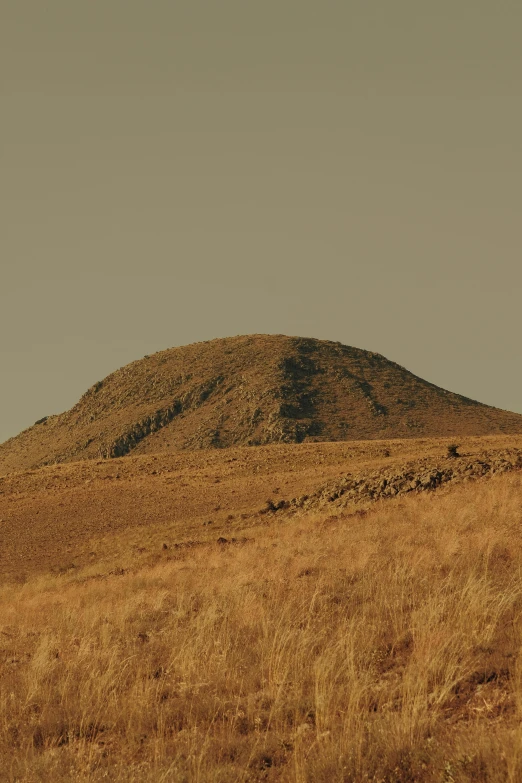 a lone brown horse standing at the foot of a hill