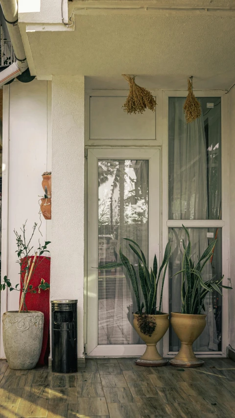 two pots of plants on a porch