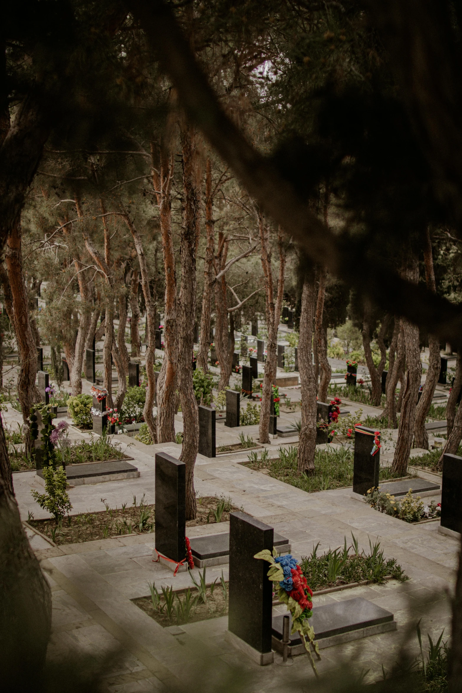 an open park with a few graves and umbrellas in it