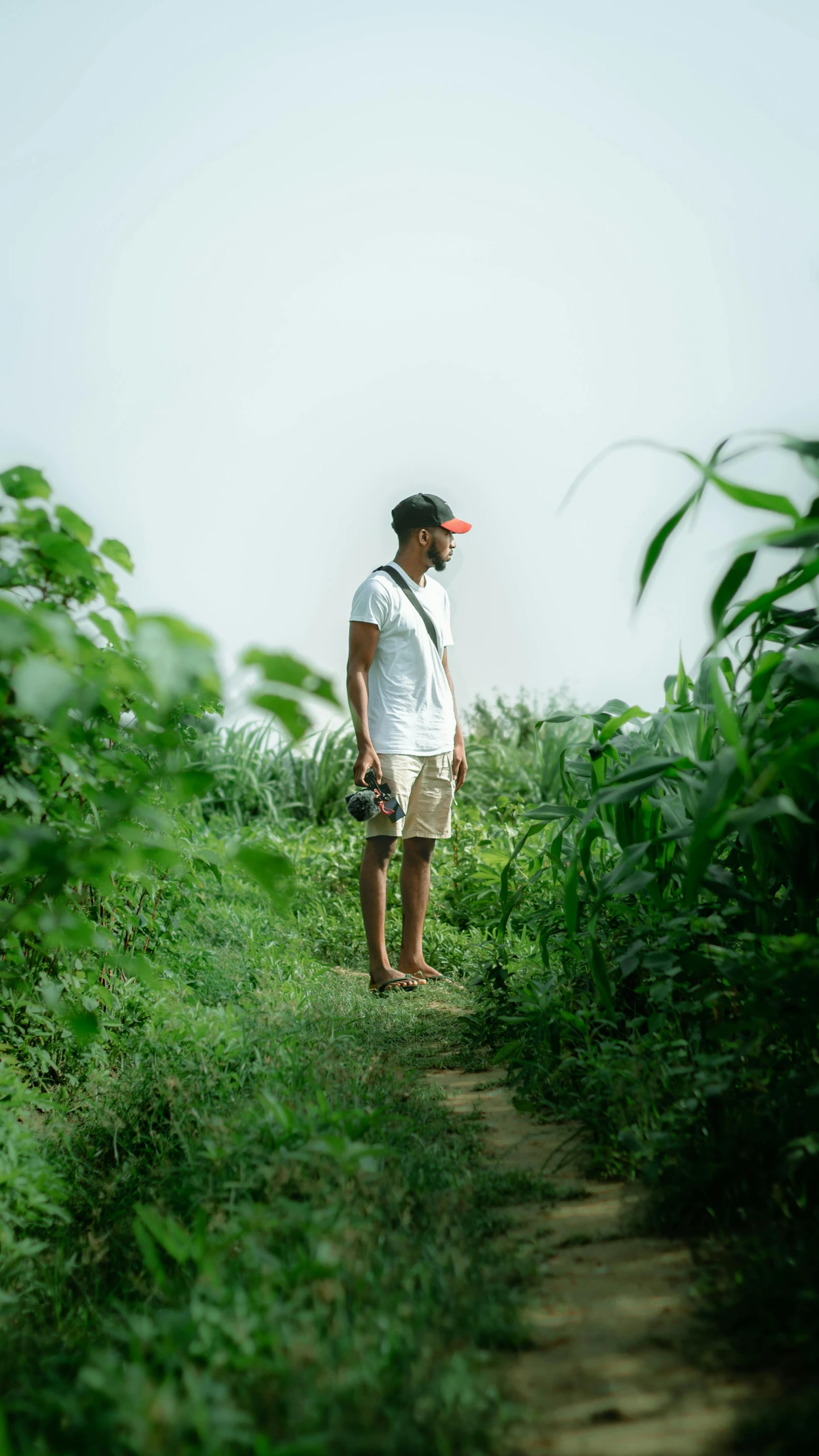 a man walks down a trail in the forest