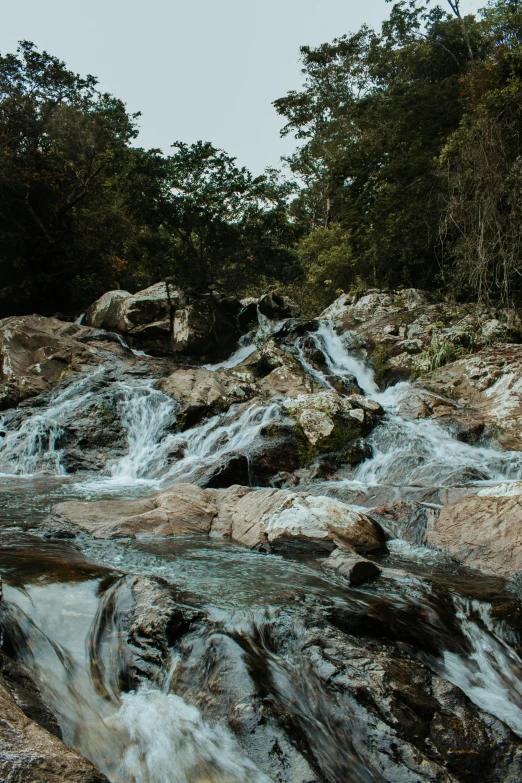 a close up view of flowing water through a forest