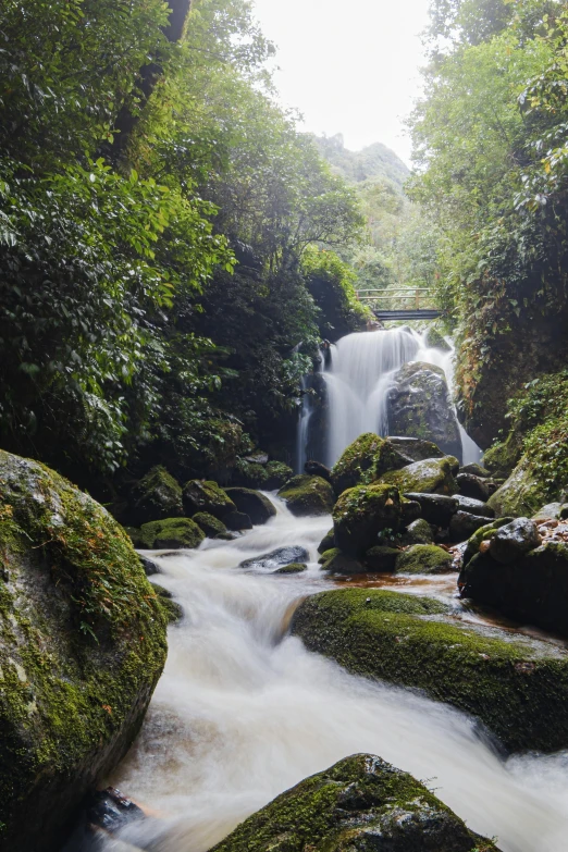 a waterfall has several rocks and trees around it