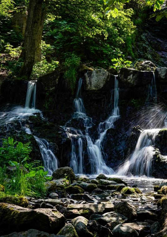 a stream flows down rocks and trees with bright sunlight coming in