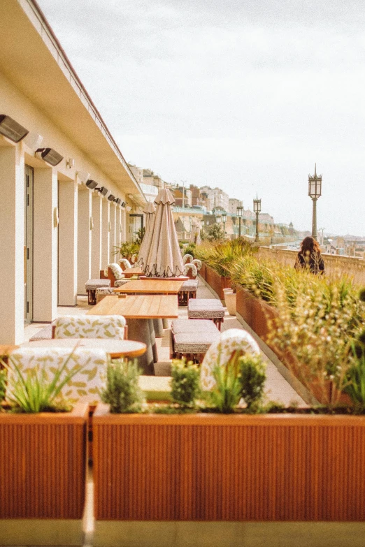 the view of a long outdoor seating area with plants on each side