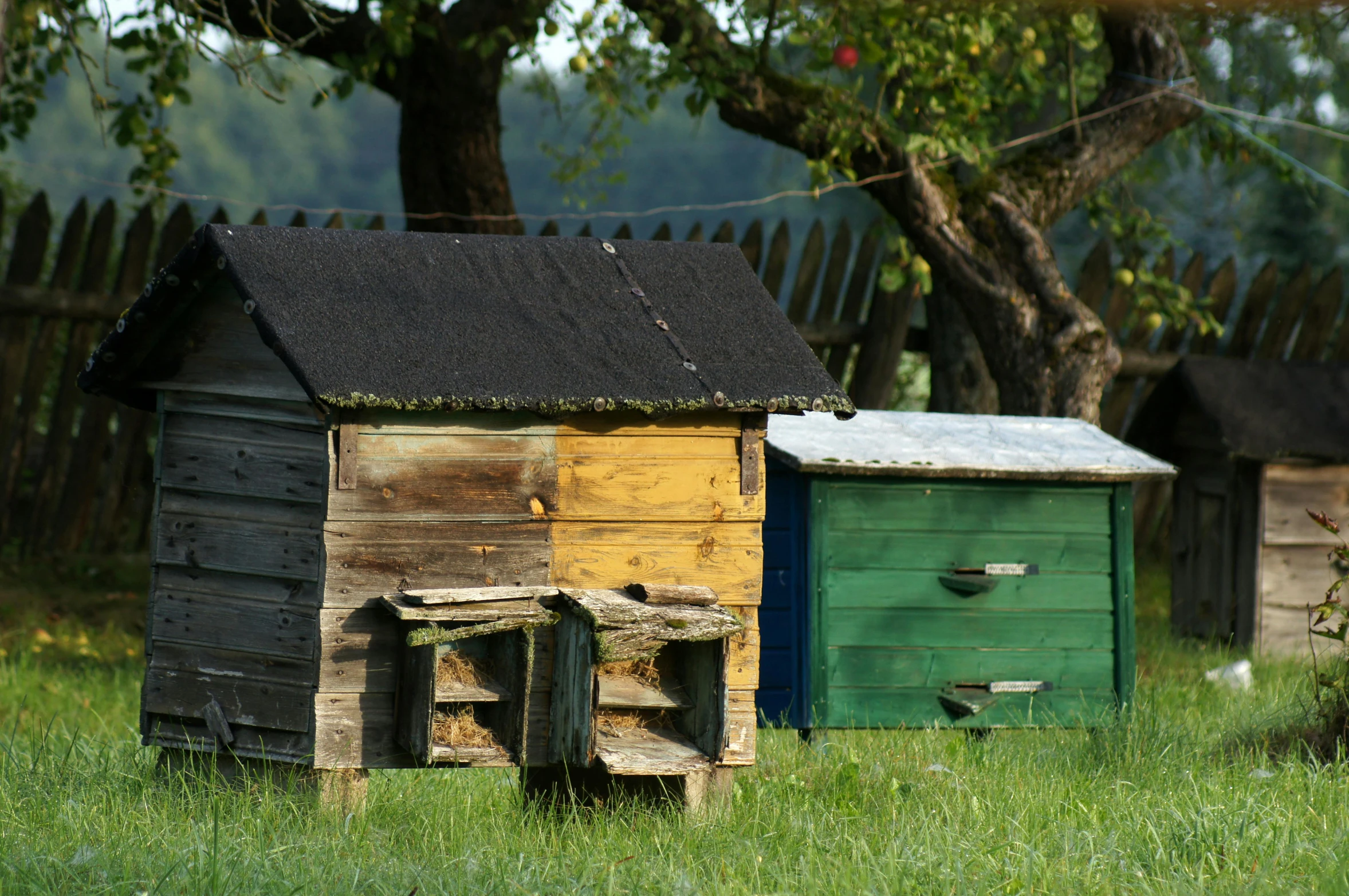 there is a green and yellow shack sitting on the grass