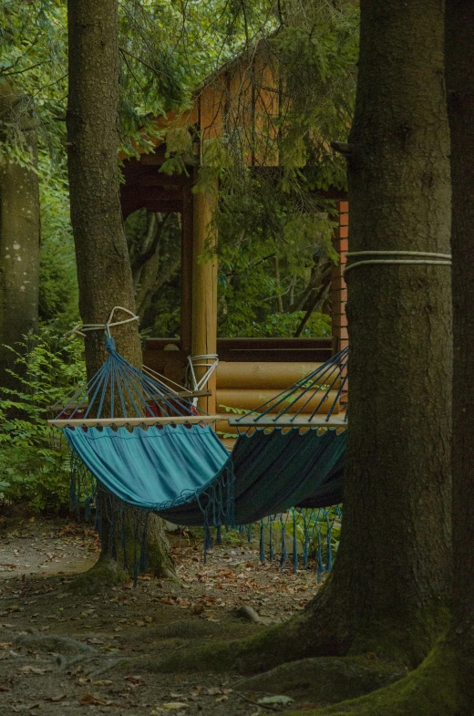 a blue hammock between two trees in the forest