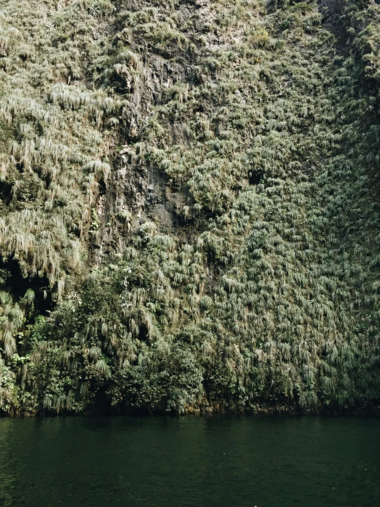 a boat floats on the water near the shore