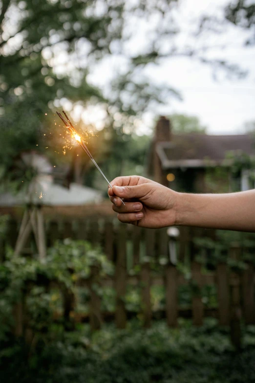 a person holding a sparkler near trees