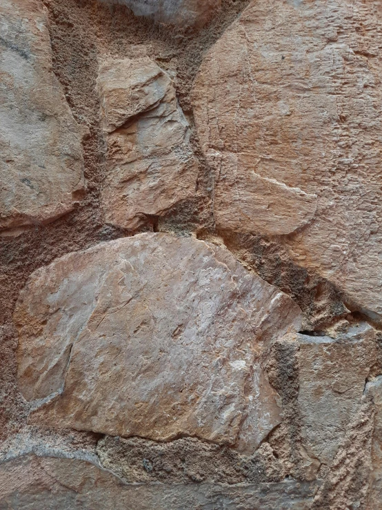 a rock face with very tiny s near it