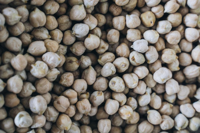 a picture of many seeds with brown grains