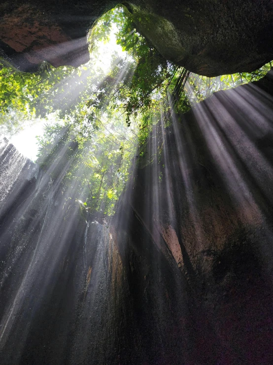 sunlight streams down into a creek surrounded by trees