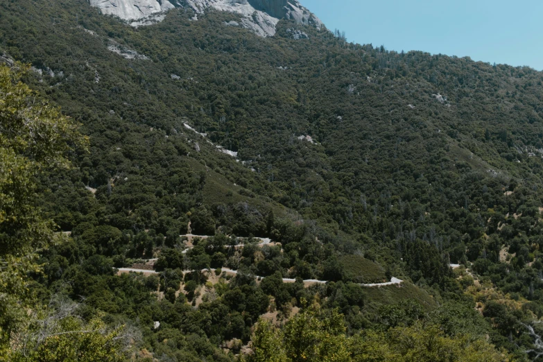 a scenic view of a mountain and lush green trees