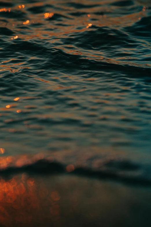 a red phone sits in the water